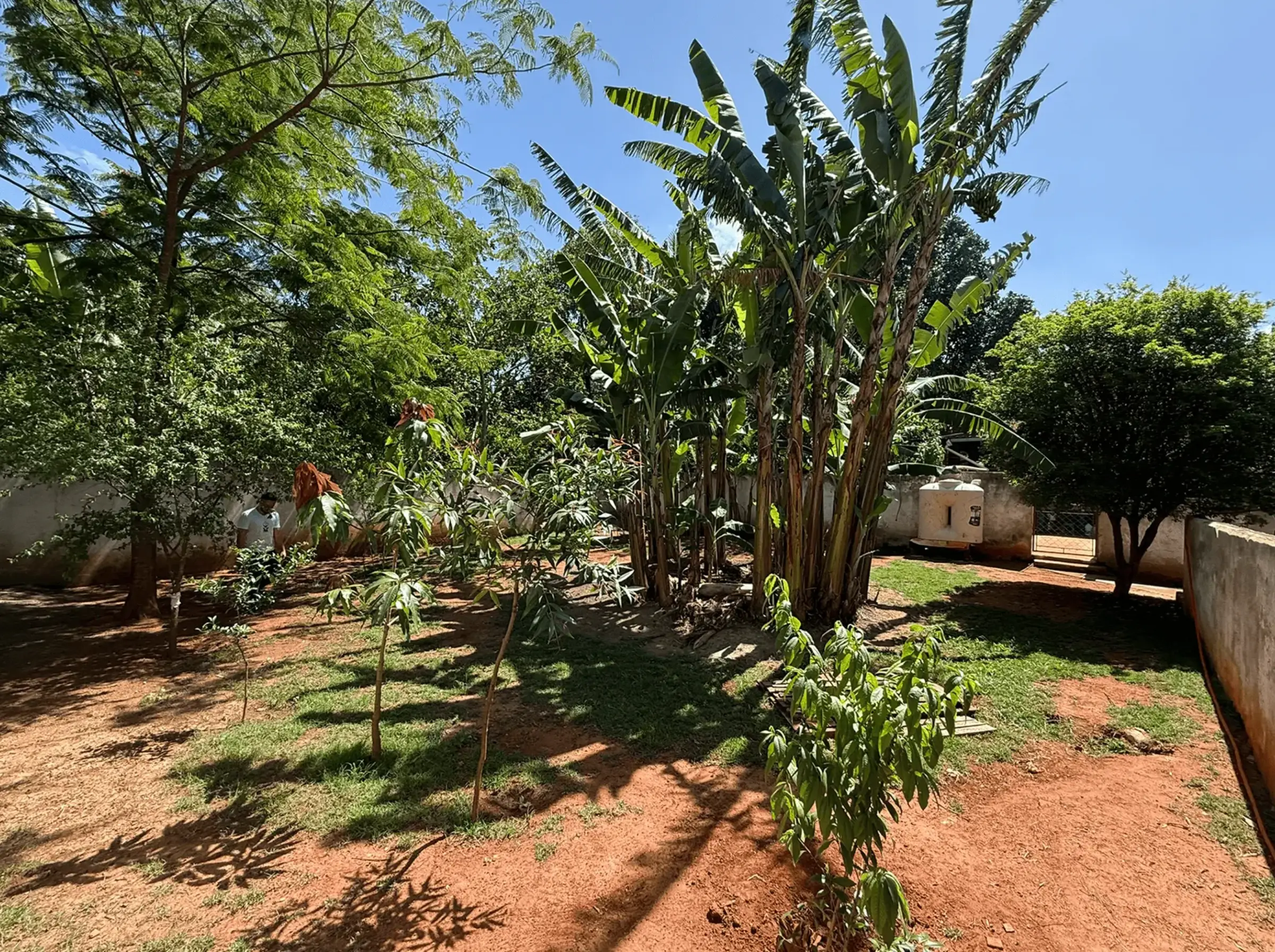 hf_20260413_175328_b6c54e29-1153-45dc-8c15-7727720-1.webp